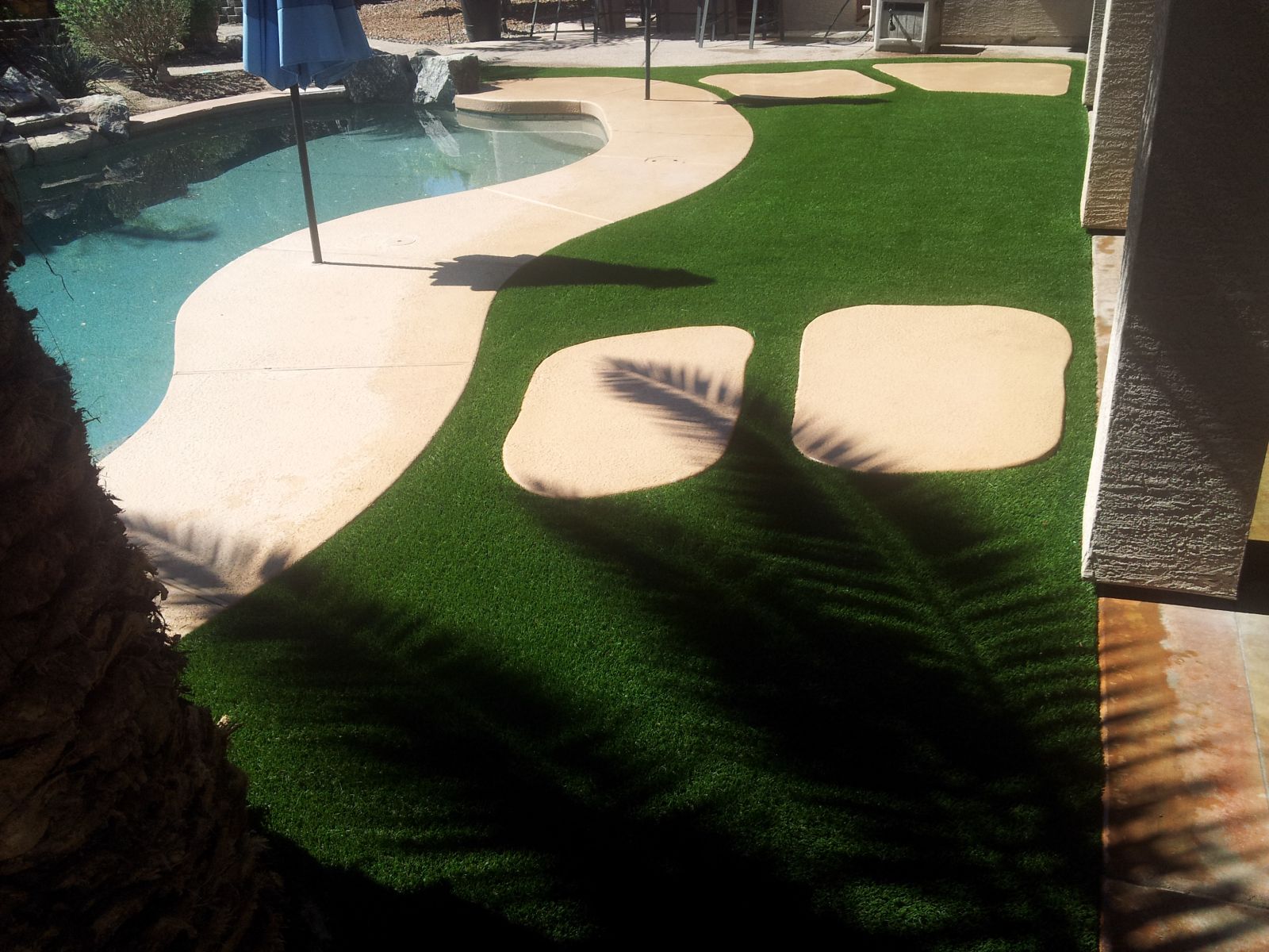 Cleaning For Artificial Turf. Queen Creek Fake Grass